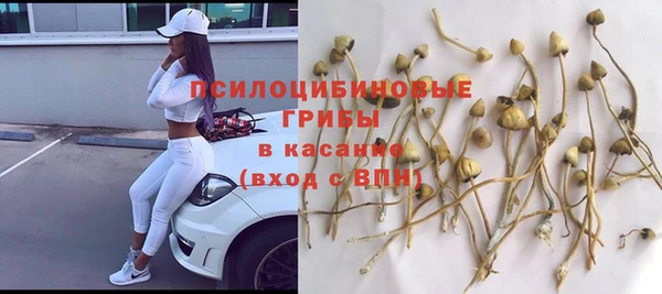 бошки Мегион