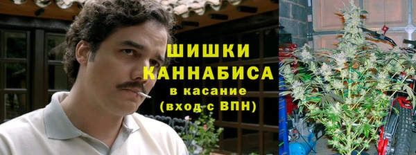 альфа пвп Медногорск