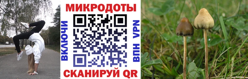 хочу наркоту  Кимовск  Псилоцибиновые грибы мухоморы 