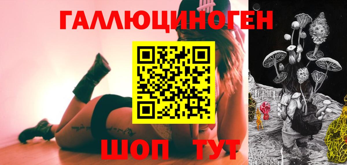 Псилоцибиновые грибы Psilocybine cubensis  Кимовск  Галлюциногенные грибы MAGIC MUSHROOMS 