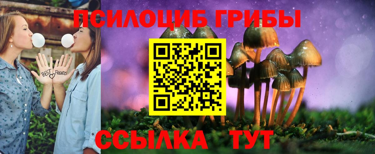 Кимовск  Псилоцибиновые грибы GOLDEN TEACHER  Вход с VPN 